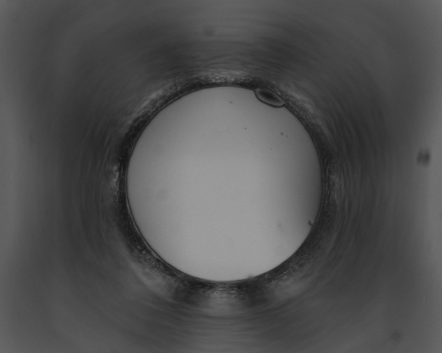 X0000091190308200708301243