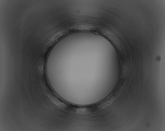 X0000091190309200708301243