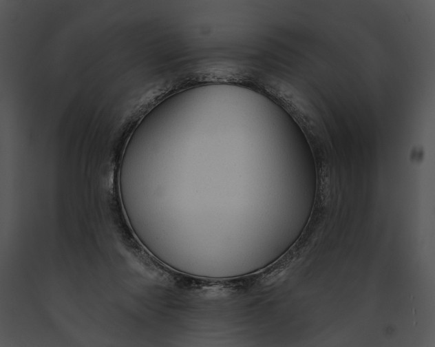 X0000091190310200708301243