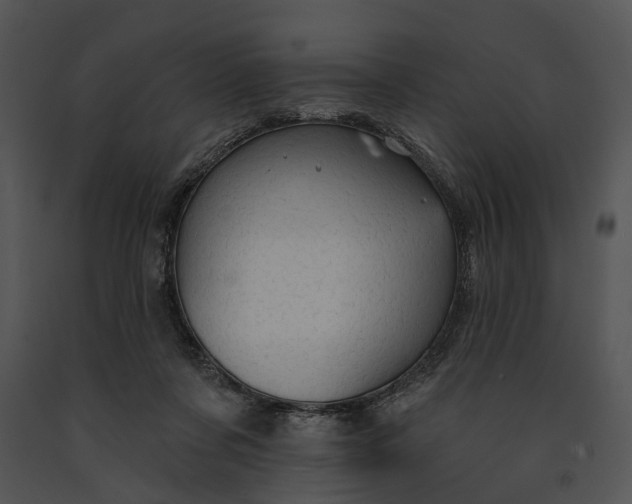 X0000091190311200708301243