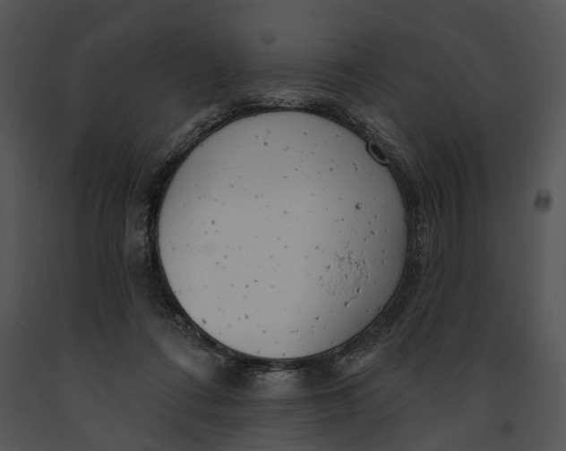 X0000091190312200708301243