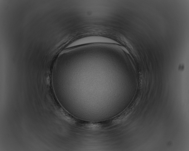 X0000091190313200708301242