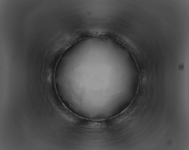 X0000091190315200708301242