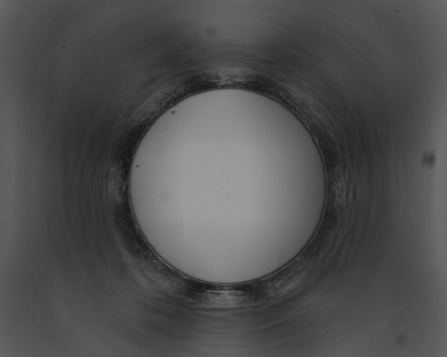 X0000091190316200708301242