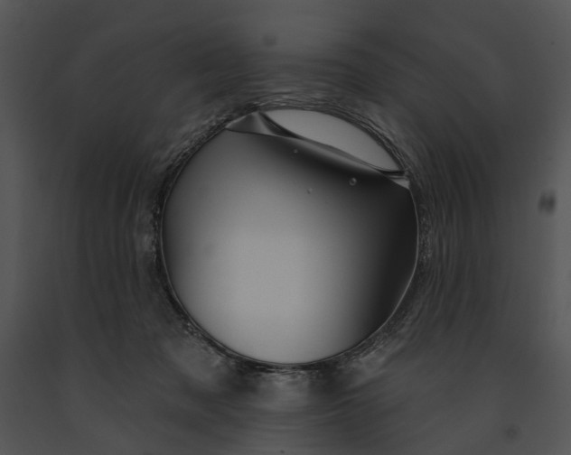 X0000091190317200708301242