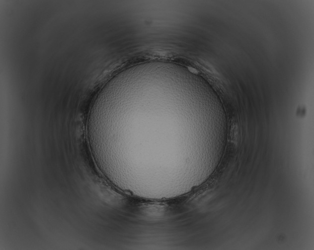 X0000091190318200708301242