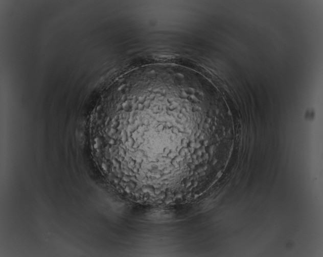 X0000091190319200708301242