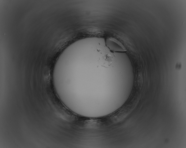 X0000091190320200708301242