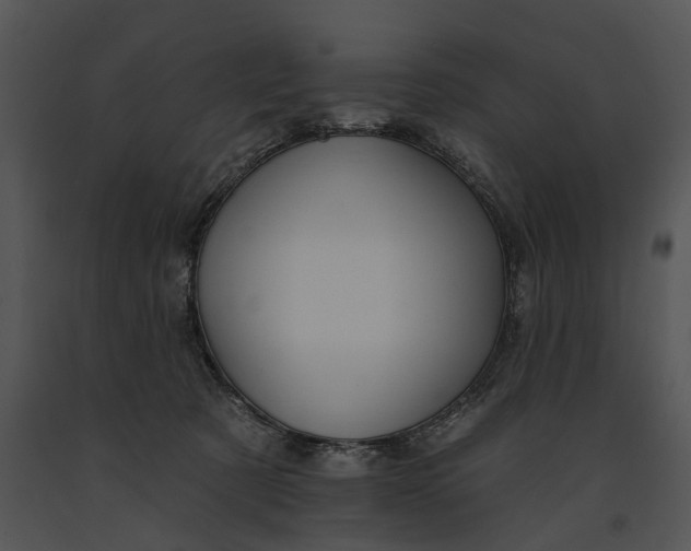 X0000091190321200708301242