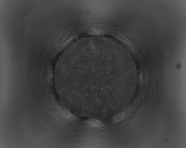 X0000091190322200708301242