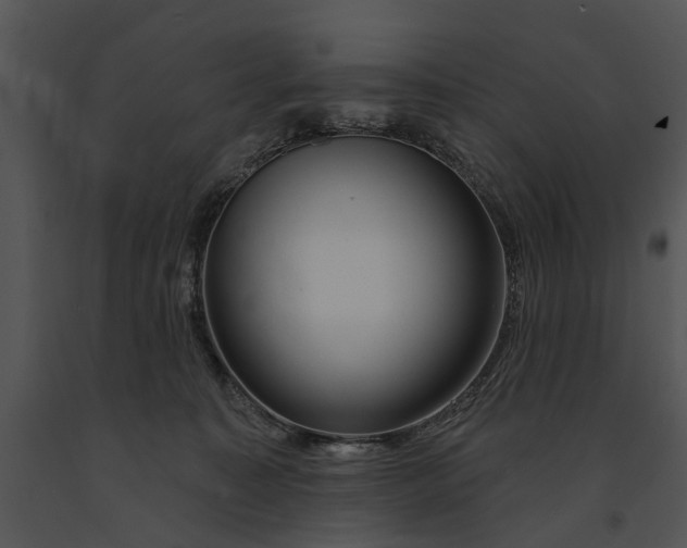 X0000091190323200708301242