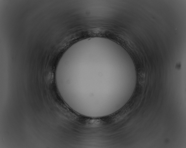 X0000091190324200708301242