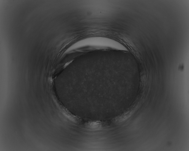 X0000091190325200708301242