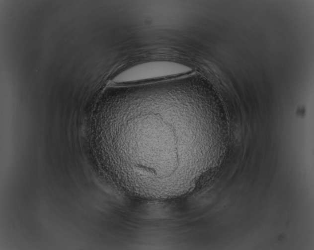 X0000091190326200708301242