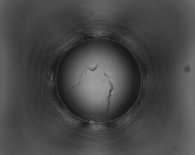 X0000091190327200708301242