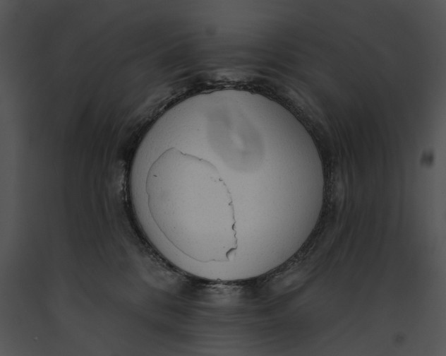 X0000091190328200708301242