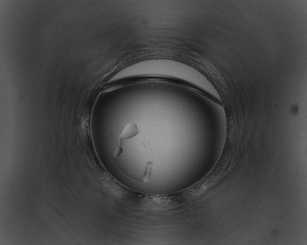 X0000091190329200708301242