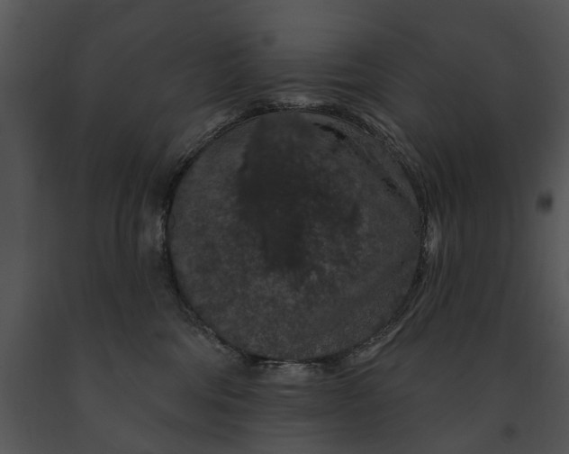 X0000091190330200708301242