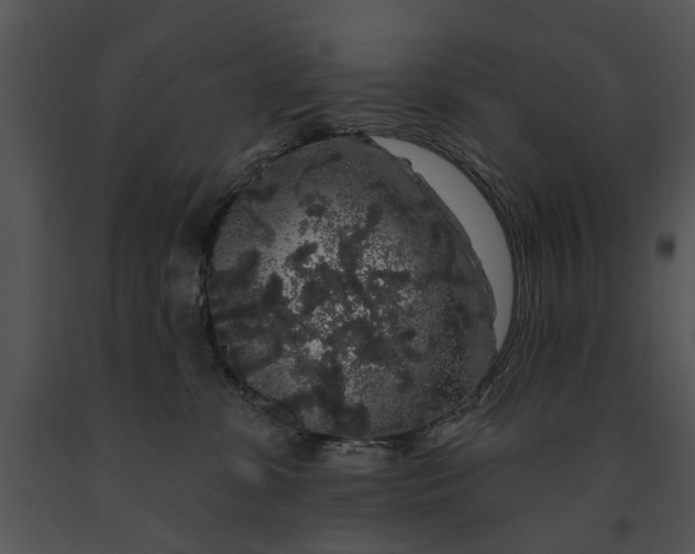 X0000091190331200708301242