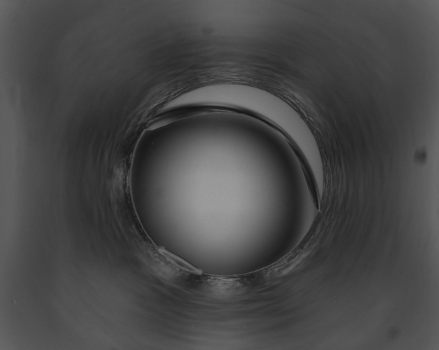 X0000091190333200708301242