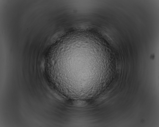 X0000091190334200708301242