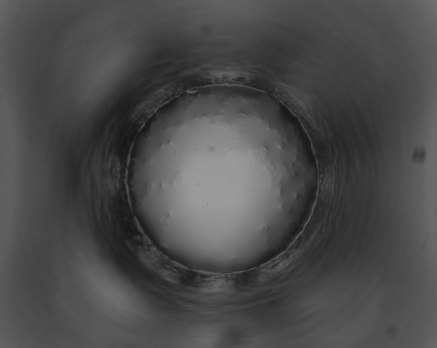 X0000091190335200708301242