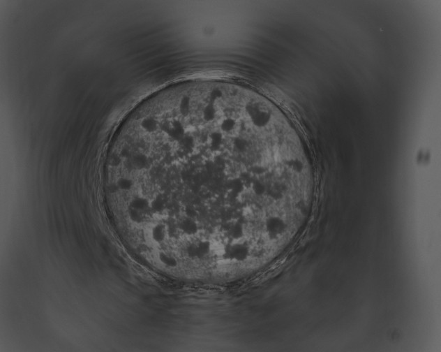 X0000091190337200708301242