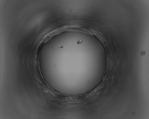 X0000091190338200708301242