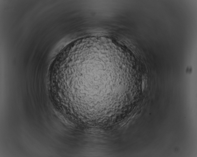 X0000091190339200708301242