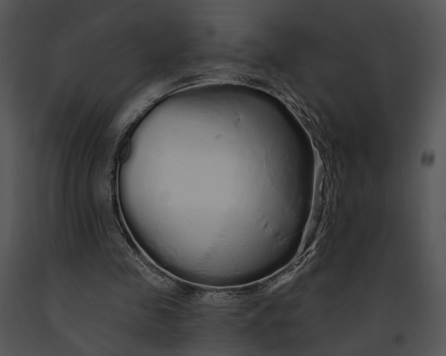 X0000091190341200708301242