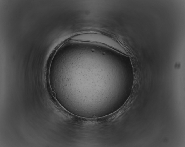 X0000091190342200708301242