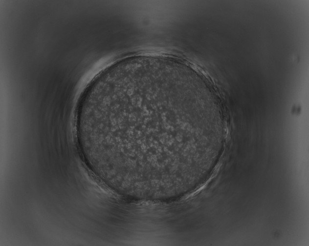 X0000091190343200708301242