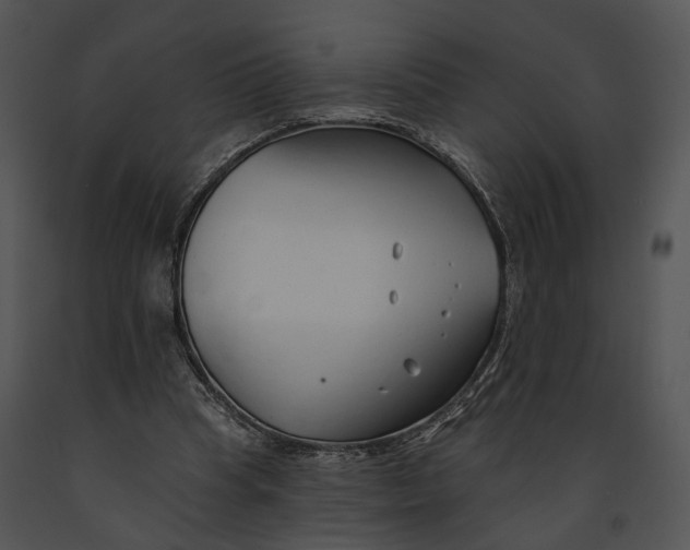 X0000091190345200708301242