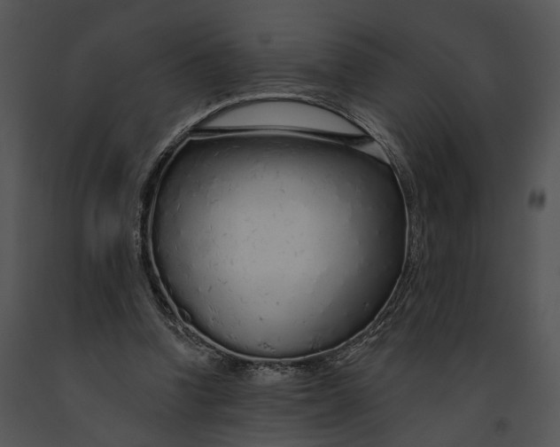 X0000091190346200708301242