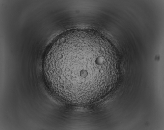 X0000091190347200708301242