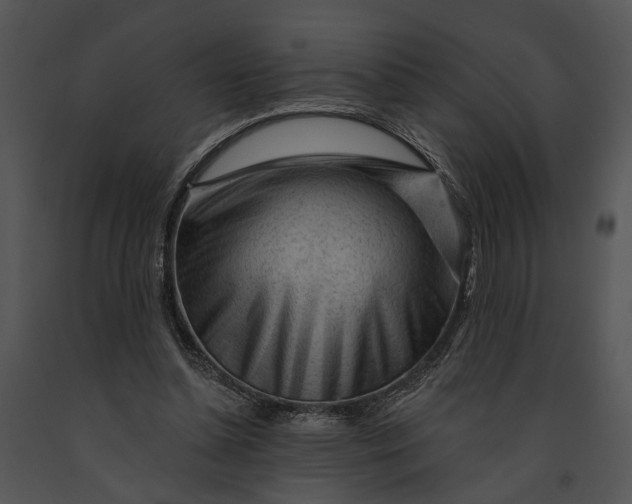 X0000091190348200708301242