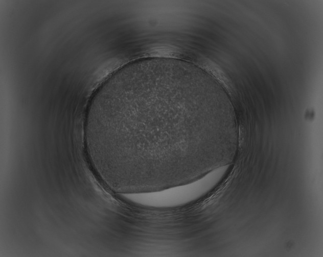 X0000091190349200708301242