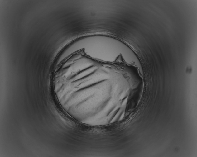 X0000091190350200708301242