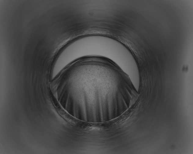 X0000091190352200708301242