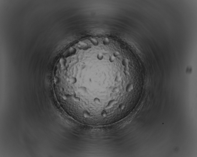 X0000091190353200708301242