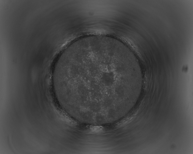 X0000091190355200708301242