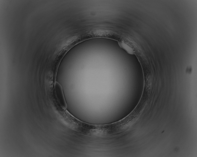 X0000091190356200708301242