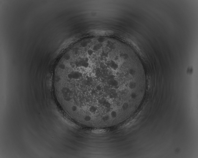 X0000091190357200708301242