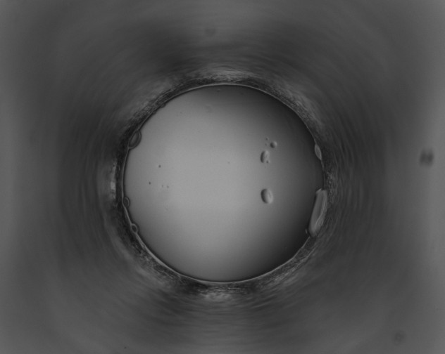 X0000091190358200708301242