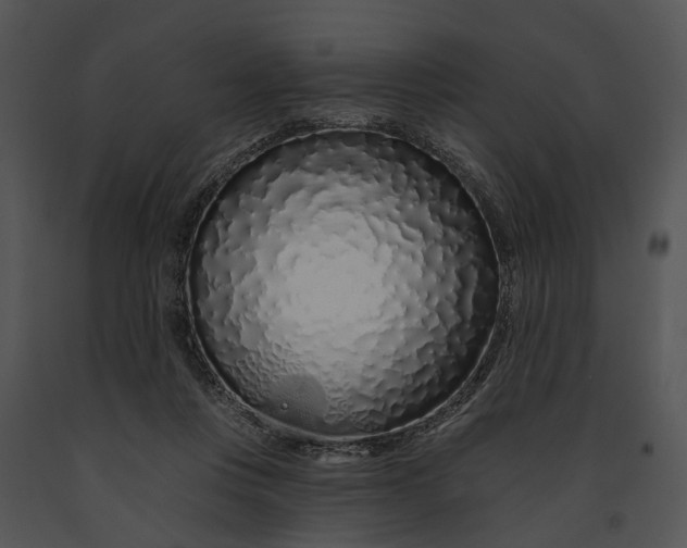 X0000091190359200708301242