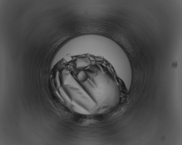 X0000091190360200708301242