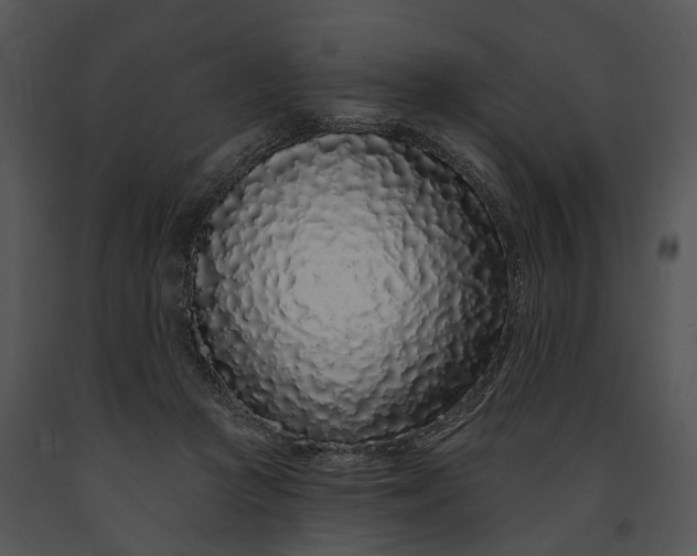 X0000091190361200708301242