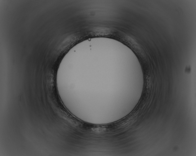 X0000091190362200708301242