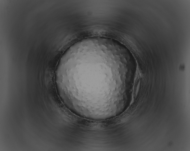 X0000091190363200708301242