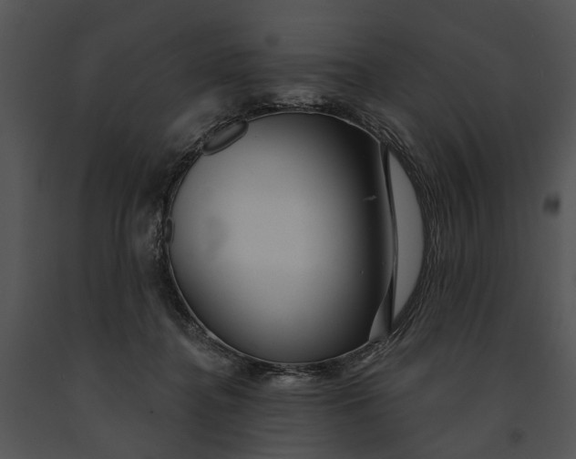 X0000091190364200708301242